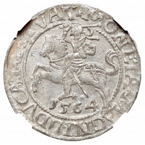 Sigismund II August, Half-groat 1564, Vilnius - L/LITVAN NGC MS64