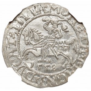 Sigismund II August, Half-groat 1558, Vilnius - LI/LITVA NGC MS66