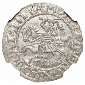 Zygmunt II August, Półgrosz 1558, Wilno - LI/LITVA NGC MS66