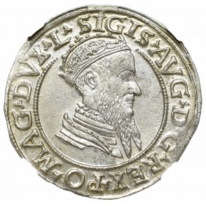 Sigismund II August, 4 groschen 1569, Vilnius - L/LITVA NGC MS63