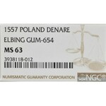 Sigismund I, Denarius w/o, Elbing - NGC MS63
