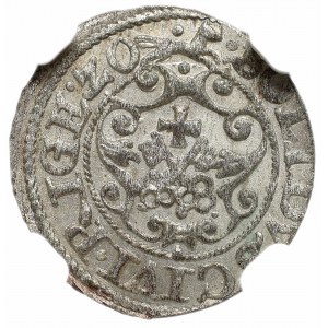 Sigismund III Vasa, Solidus 1620, Riga - NGC MS62