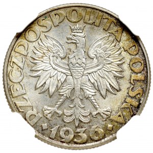 II Rzeczpospolita, 2 złote 1936 Żaglowiec - NGC MS64