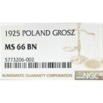 II Republic of Poland, 1 groschen 1925 - NGC MS66 BN