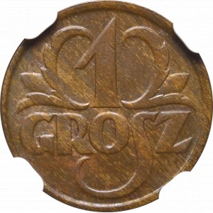 II Republic of Poland, 1 groschen 1928 - NGC MS64 BN