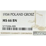 II Rzeczpospolita, 1 grosz 1934 - NGC MS66 BN