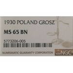 II Republic of Poland, 1 groschen 1930 - NGC MS65 BN