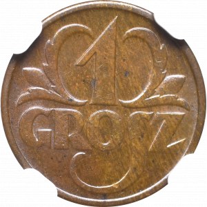 II Republic of Poland, 1 groschen 1931 - NGC MS64 BN