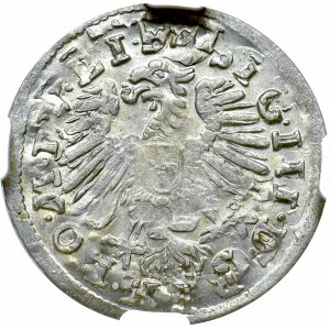 Zygmunt III Waza, Grosz 1608, Wilno - destrukt NGC MS64