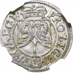 Prusy książęce, Jan Zygmunt, Półtorak 1619, Królewiec (rzadki) - NGC MS63