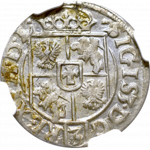 Sigismund III, 1/24 thaler 1618, Bromberg - NGC MS65