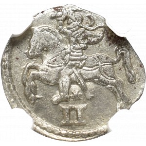 Sigismundus II Augustus, 2 denar 1569, Vilnius - NGC MS63