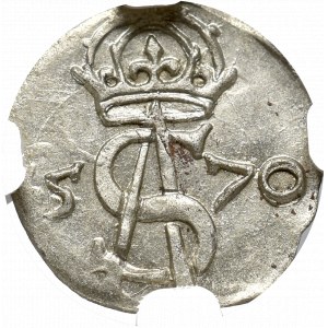 Sigismundus II Augustus, 2 denar 1570, Vilnius - NGC MS63