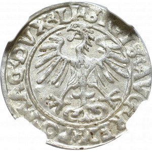 Zygmunt II August, Półgrosz 1555, Wilno - LI/LITVA NGC MS64