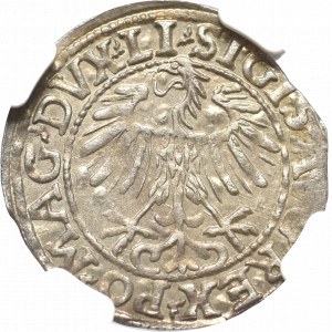 Sigismund II Augustus, Half-groat 1557, Vilnius - LI/LITVA NGC MS64