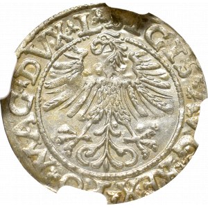 Zygmunt II August, Półgrosz 1563, Wilno - nieopisany pisana 3 NGC MS65