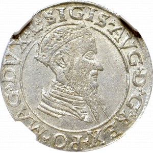 Sigismund II Augustus, 4 groschen 1567, Vilnius - NGC MS62