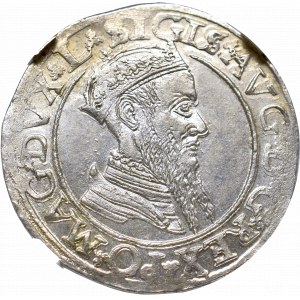 Sigismund II Augustus, 4 groschen 1566 Vilnius - NGC MS63