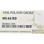 II Republic of Poland, 1 groschen 1936 - NGC MS66 RD