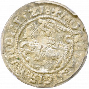 Zygmunt I Stary, Półgrosz 1521, Wilno - PCGS MS62