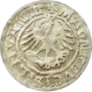 Zygmunt I Stary, Półgrosz 1521, Wilno - PCGS MS62