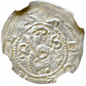 Bolislaus IV, Denarius - NGC MS62