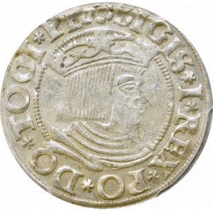 Zygmunt I Stary, Grosz 1533, Gdańsk - PCGS AU55