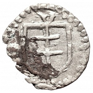 Wladislaus II, Denarius Fraustadt