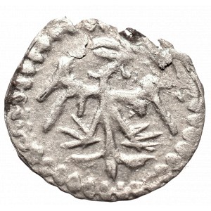 Wladislaus II, Denarius Fraustadt