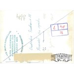 GRODZISK WLKP, Piwobranie, korowód na rynku, fot. P. Kaźmierczak, 1978