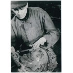 WARSAW, reconstruction of Sigismund