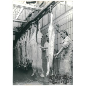 EŁK, kombinat mięsny, przygotowanie tusz, fot. Sieńko, 1975