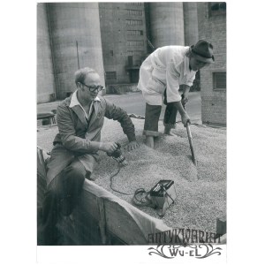 NIDZICA, elewator zbożowy, pomiar wilgotności ziarna, fot. St. Moroz, 1978