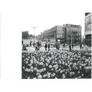 OLSZTYN, ukwiecone miasto, fot. St. Moroz, 1974