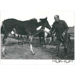 PLĘKITY near Ostróda, stud farm, horseman with young mare, photo by St. Moroz, 1972