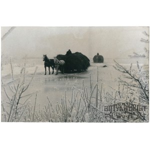 RAJGRÓD (pow. Augustów), zimowa zwózka siana z Czerwonego Bagna, fot. Rosiak, 1971