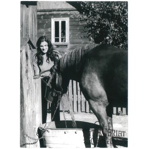 KŁOPOTY BUJNE (pow. Siemiatycze), działaczka ZSMW w gospodarstwie, fot. R. Sieńko, 1973