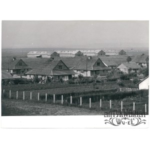 MACHNÓW (pow. Tomaszów Lubelski), PGR zbudowane od podstaw, fot. Grzęda, 08.1962