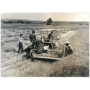 CMOLAS (pow. Kolbuszowa), zbiór rzepaku, fot. Łokaj, 7.07.1973