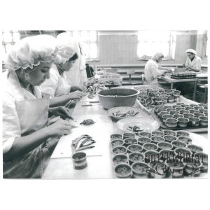SULĘCIN, Zakład Przetwórczy KOGA - filetowanie anchois, fot. CAF, 1986