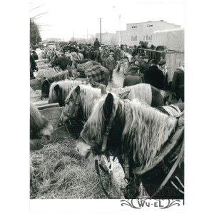 SKARYSZEW (pow. Radom), targi końskie, fot. CAF, 1988