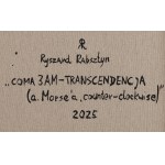 Ryszard Rabsztyn (b. 1984, Olkusz), Coma 3am - Transcendence (a. Morsea, cunter clockwise), 2025.