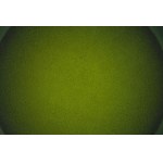 Magda Żak (b. 1987), Circle of light 1.1.100, 2026