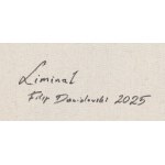 Filip Dawidowski (b. 2001, Kartuzy), Liminal, 2025