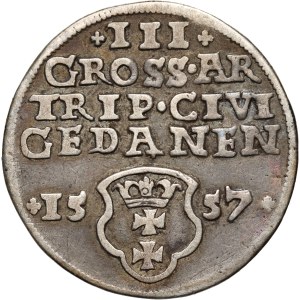 Zygmunt II August, trojak 1557, Gdańsk