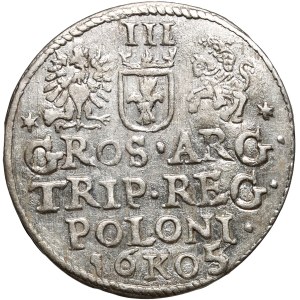 Sigismondo III Vasa, trojak 1605, Cracovia