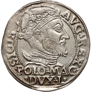 Sigismund II Augustus, penny per Polish foot 1547, Vilnius