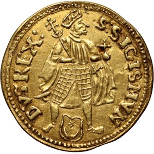 Sigismund I. der Alte, Dukaten 1538, Fajna-Fälschung