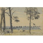 Leon WYCZÓŁKOWSKI (1852-1936), Landscape - Pines