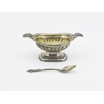 Salt shaker with spoon